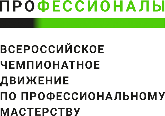 Всероссийское чемпионатное движение «Профессионалы»